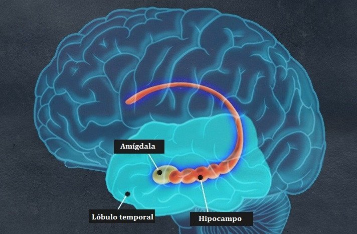 psicólogo ansiedad Rancagua